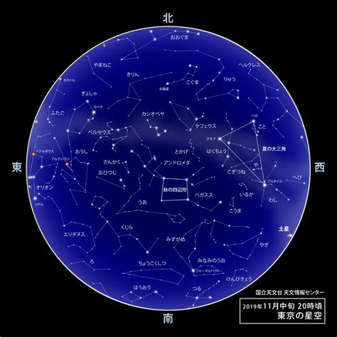 11月25什麼星座|11月25日生日书（射手座）